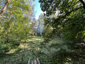 Malebný pozemek 2217 m2 u Prahy - Kamenný Přívoz - 7