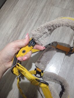 Ohlavka eskadron Vintage gold - 7