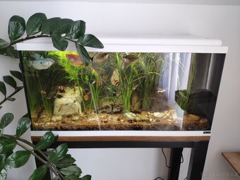 Akvárium 90l včetně kompletního příslušenství - 7