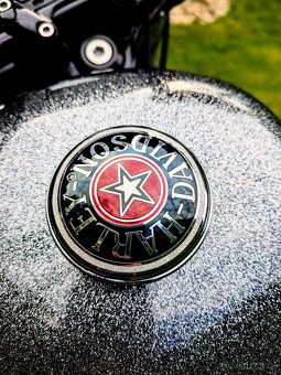 Harley Davidson Forty Eight 1200 - 7