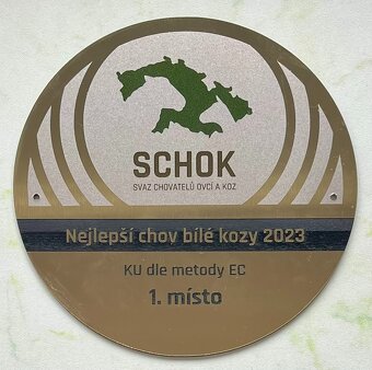 Koza "Česká bílá krátkosrstá". - 7