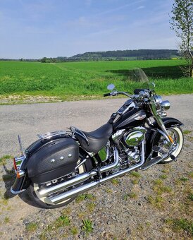 Harley-Davidson Softail Deluxe - 7