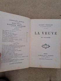 Kniha z konce 19. století - 7