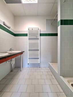 Pronájem skladovacích / výrobních prostor, Blansko, 190 m2 - 7
