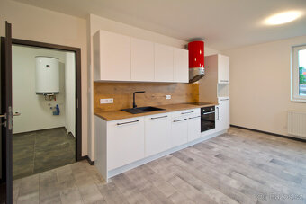 Pronájem, byt 1+kk, 54 m², Plzeň - Bolevec, ul. Plaská - 7