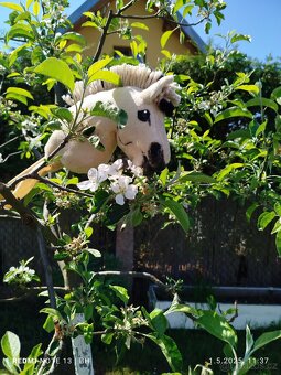 Hobby horse - 7