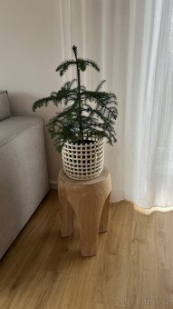 Designova drevena stolicka - 7