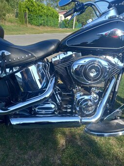 Harley Davidson - 7