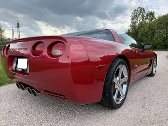 CORVETTE C5 TARGA 5.7 V8 - 7