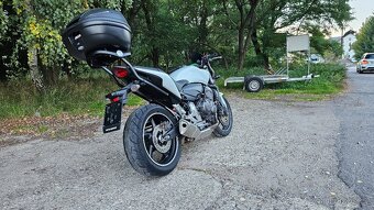 Honda Hornet CB600F (21 000Km) r.v. 2011 - 7