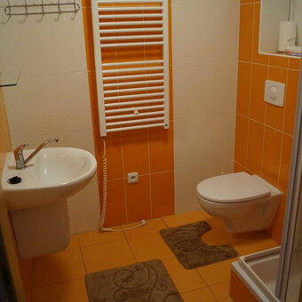 Prodej apartmánu Lipno nad Vltavou - 7