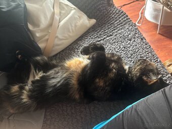 Zoe a Meggie - 7