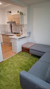 Pronajem 2kk v rodinném domě - 7