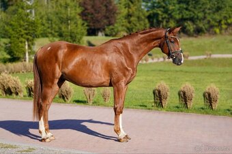 Valach 2020 po For Treasure VDL - 7