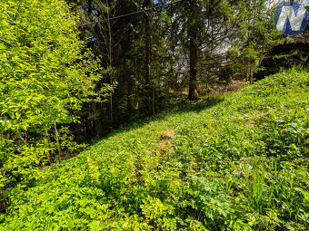 Prodej stavebního pozemku 598 m² Horní Vltavice - 7