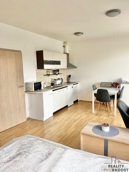 Pronájem bytu 1+kk, 41,5m2, balkonem, sklepem a garážovým st - 7