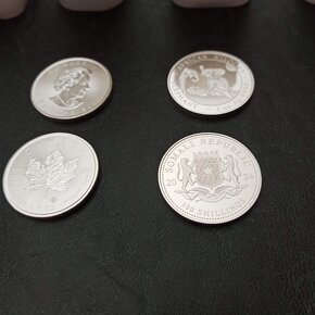 STŘÍBRO a ZLATO American Eagle, Maple, Panda a US Morgan atd - 7