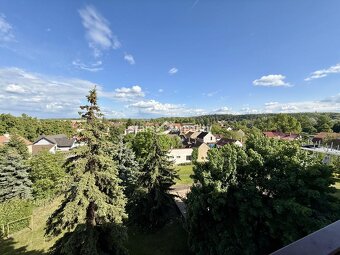 Prodej bytu 2+1/L, 48m2 + 3 m2 Lodžie ul. Předmostí Kralupy - 7