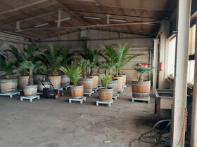 Pronajmu výrobní, skladové a kancelářské zázemí. - 7