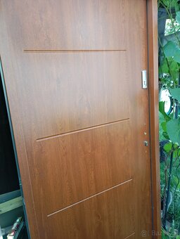 Bezpečnostní dveře - 7