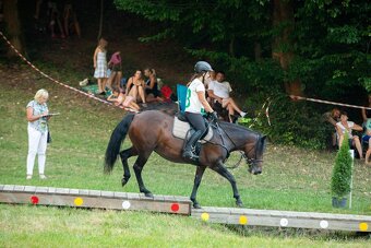 Huculská klisna, hucul, pony, malý kůň - 7