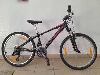 Prodám dětské horské kolo specialized 24" - 7