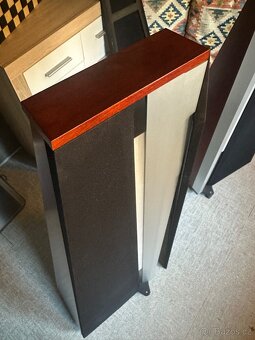 High-End Dali Skyline 1000 - 7