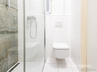 Pronájem bytu 1+kk, Biskupcova, Žižkov, 15900 Kč/měs, 22 m2 - 7