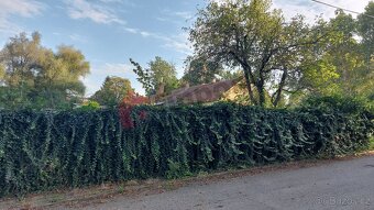 Prodej RD se stavebním pozemkem 736 m2 ve Věžkách - 7