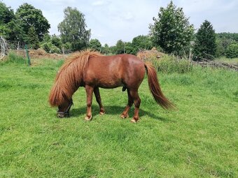 Minipony s PP - 7