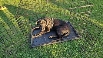 Klec skládací 75 × 46 × 53 cm - 7