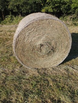 Lis new holland - 7