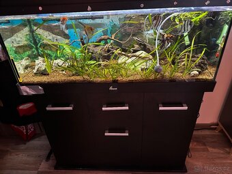 Akvárium set 160 l rovný  DIVERSA - 7
