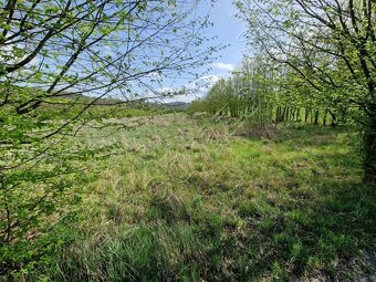 Újezd nad Zbečnem - pronájem zahrady 1043 m - 7