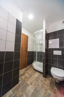 Pronajmu byt 1+1 v Kostelci nad Orlicí - 7
