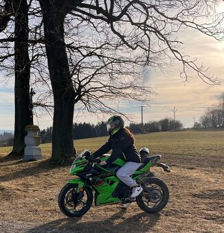 Kawasaki Ninja 125 - 7