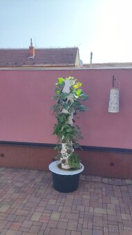 Hydroponická věž - 6 pater - 7