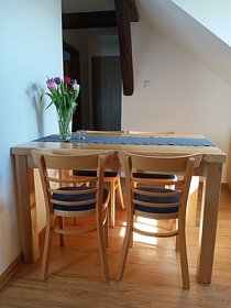 Apartmán na LIPNĚ - volný termín 27.6.-2.7.2025 - 7