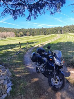 Suzuki DL 1000 V-Strom - 7