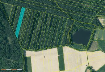 Prodej lesa 32388 m² Břilice u Třeboně - 7