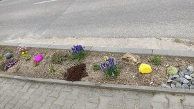 Dekorační kameny - 7