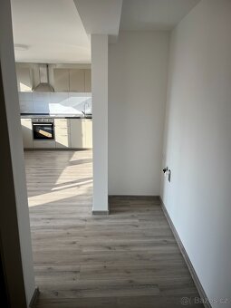 Pronájem velkého 1+kk s lodžií, Telč - Staré Město - 7
