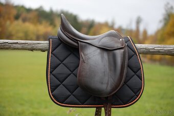 Drezurní Childéric 17,5 - 7