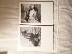 ABC Myslivosti Robert Wolf - 7