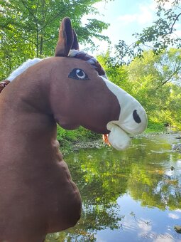 Hobby horse - 7