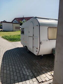 Qek junior - 7