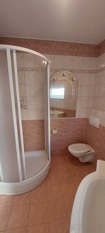 Rodinný domek (47 m²) Veselí nad Moravou - 7