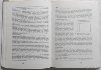 Kniha Knihařství, technologie ruční vazby - 7