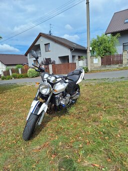 Honda Hornet CB600F - 7