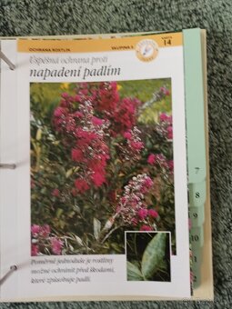 Knihy zahradnictví zahrada - 7